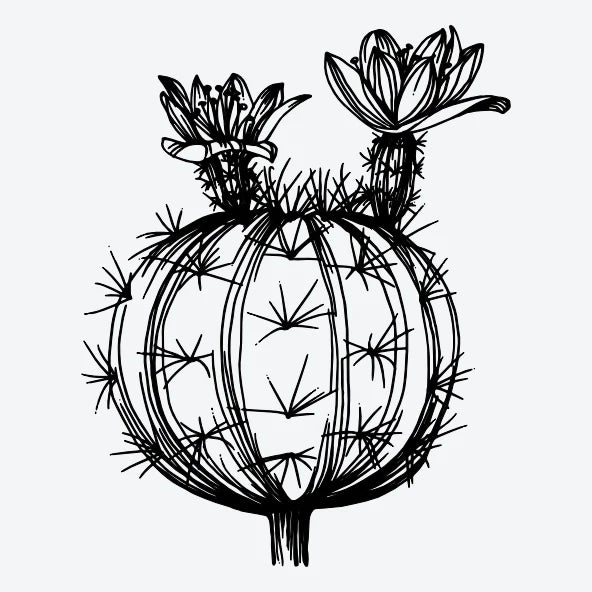 Tijdelijke-tattoo-van-een-bloeiende-cactus