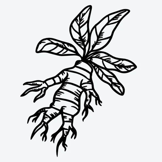 Tijdelijke-tattoo-van-een-magische-mandrake-wortel