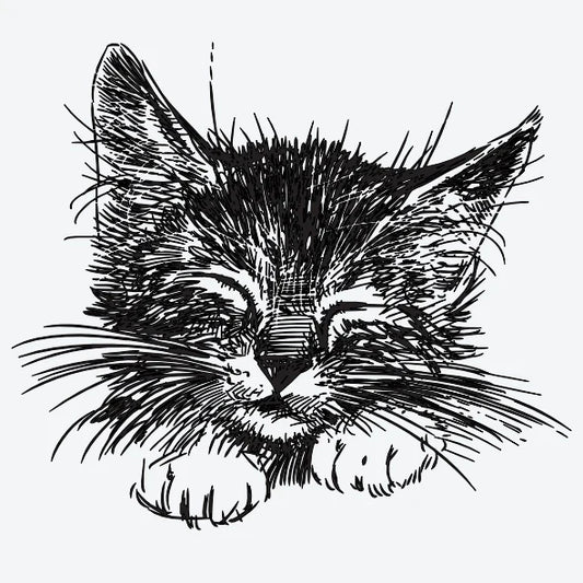 Tijdelijke-tattoo-van-een-schattige-kat